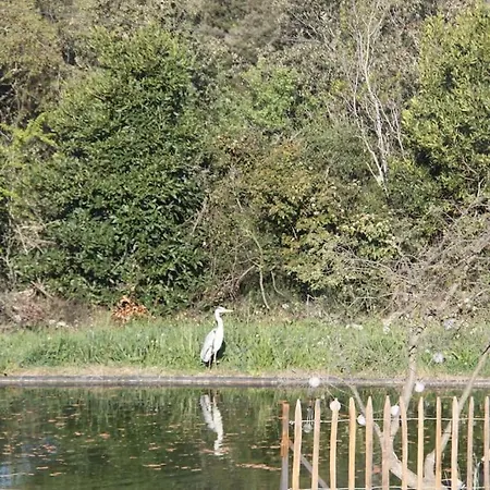 Des Teullieres * Junas