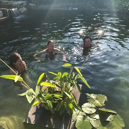 Dom wakacyjny Des Teullieres